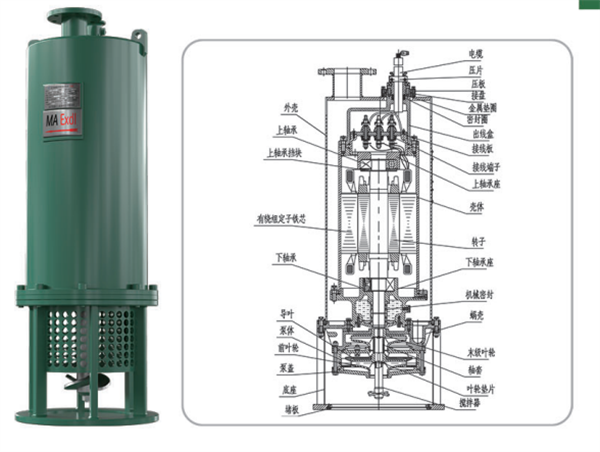 防爆排污泵價(jià)格